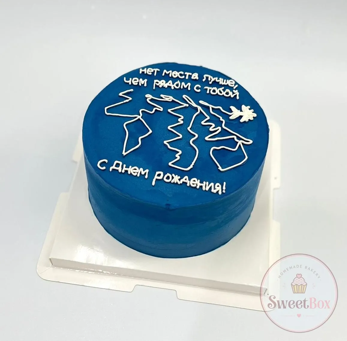 Deep blue minimalist cake with a white line drawing and a Russian-language birthday message