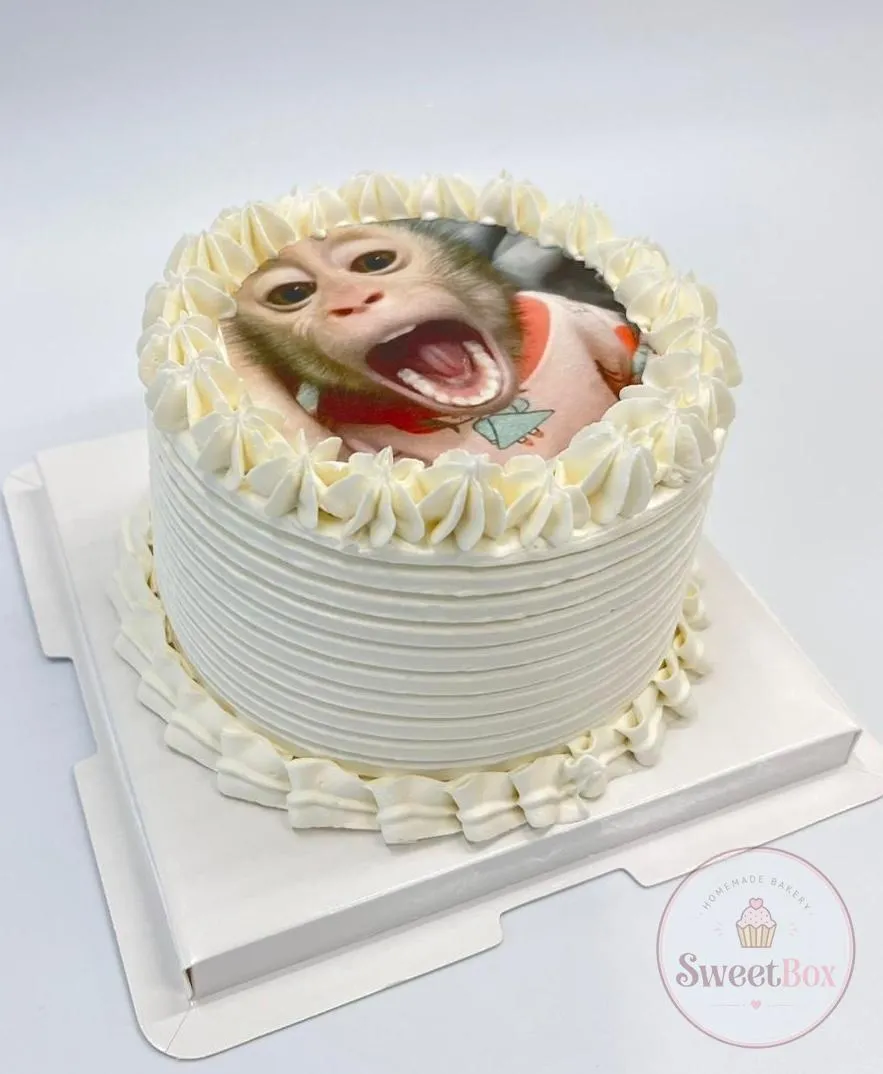 White ridged cream cake with an edible print of a screaming baby monkey on top
