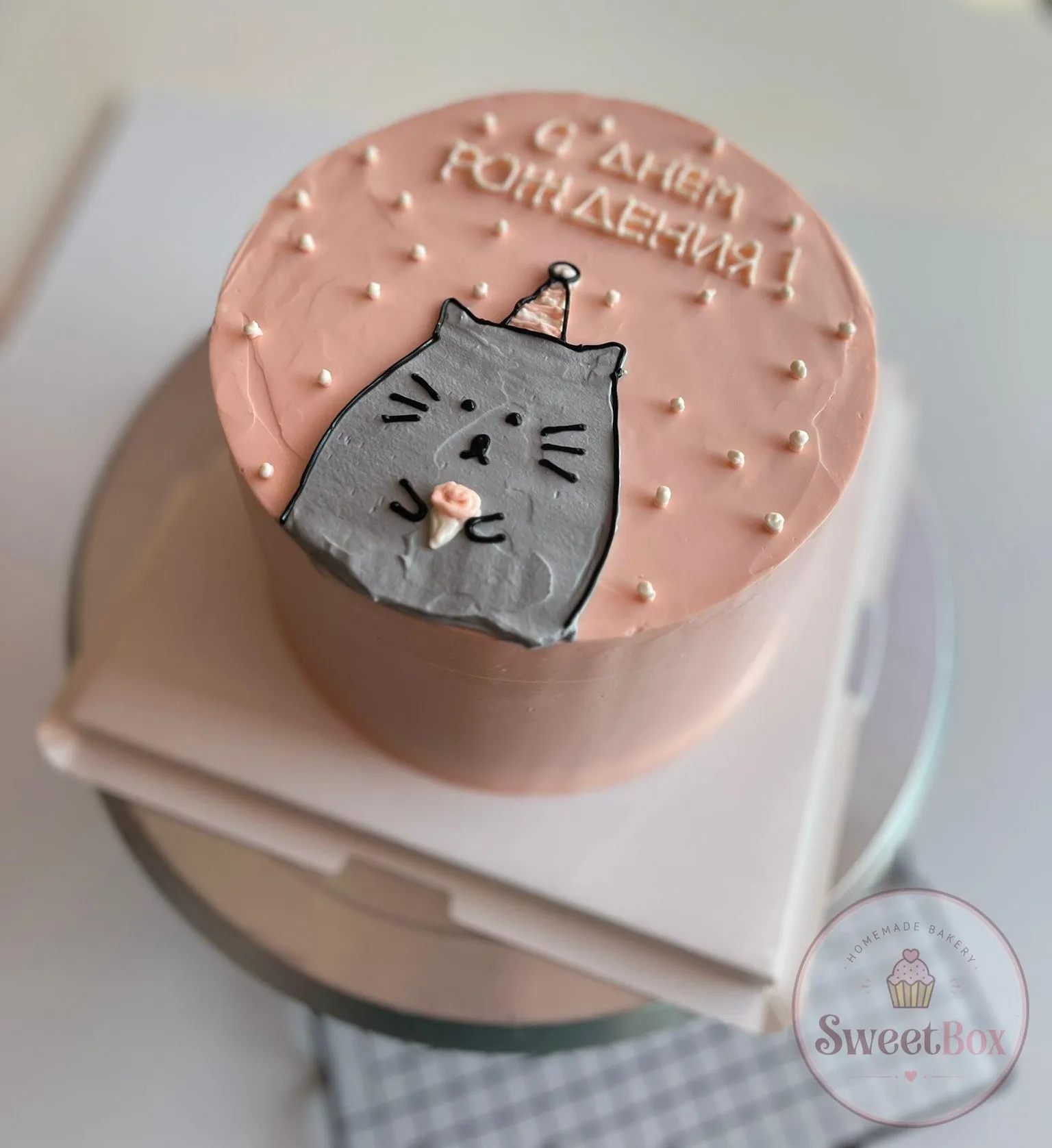 Pink bento cake with a drawn chubby gray cat in a party hat and Russian birthday lettering