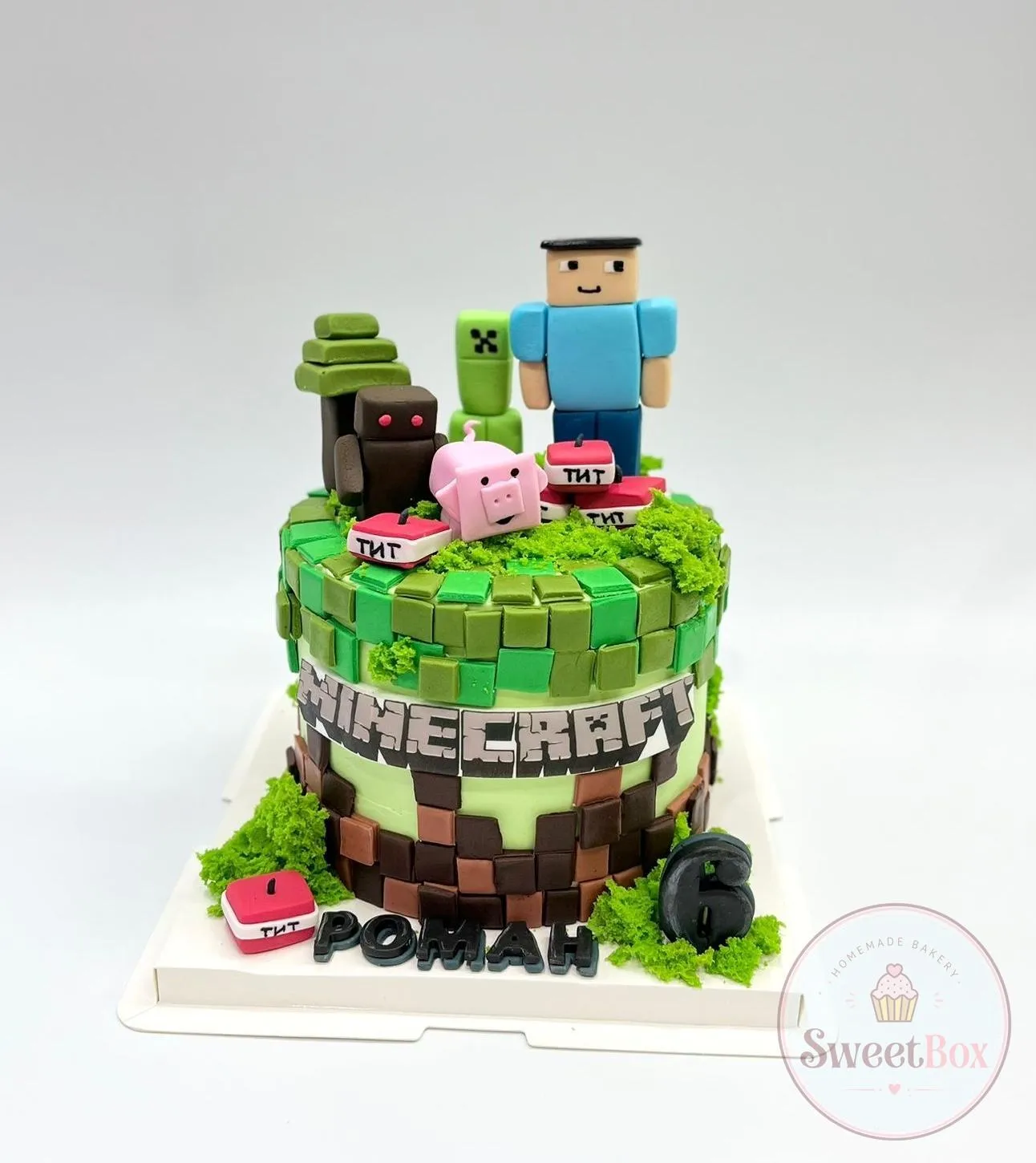 Minecraft-inspired cake with the game’s title on the side, pixel grass and dirt layers, blocky figures and a pig on top, and a name with the number 6