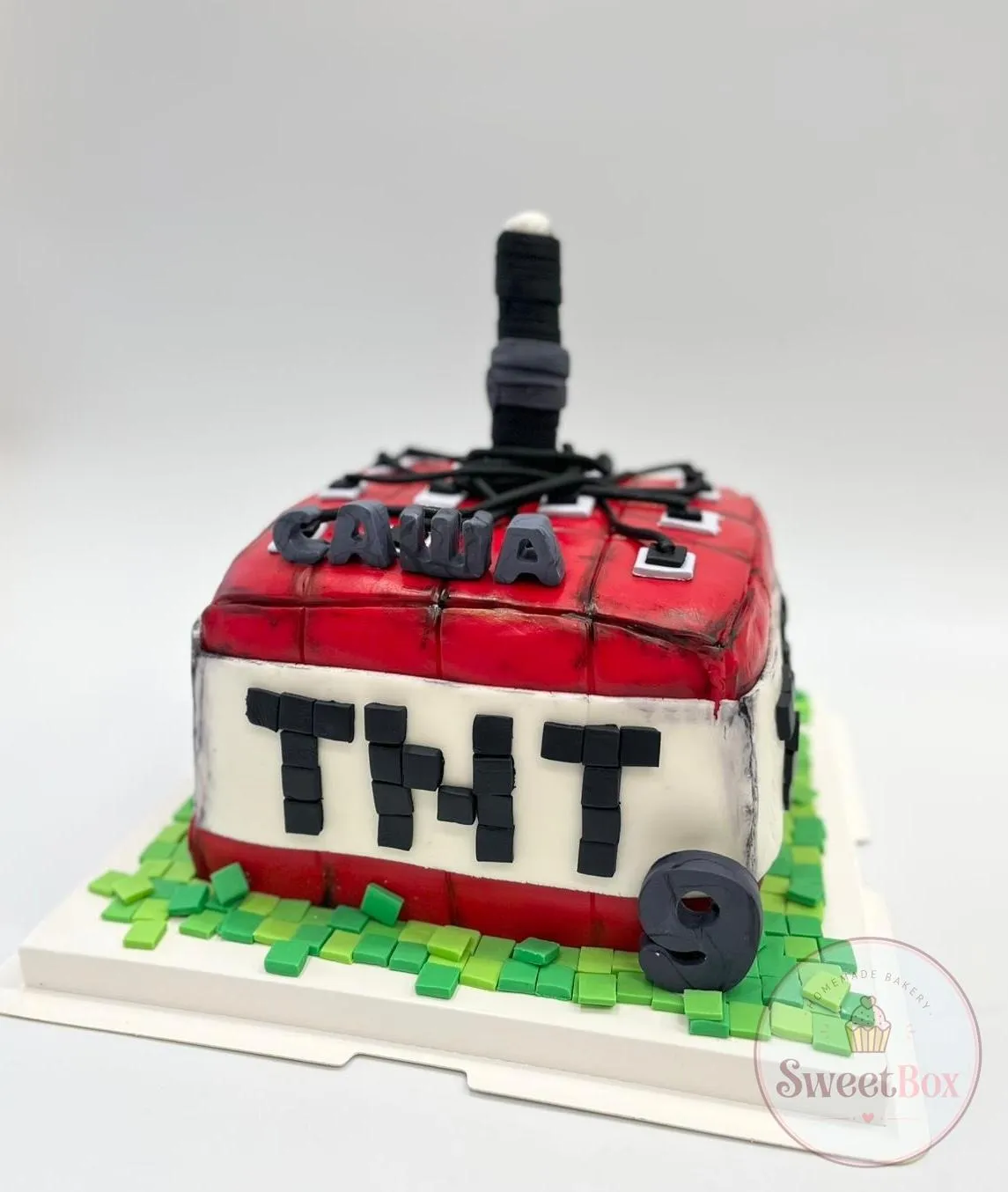 Red and white TNT block cake with a black fuse, a name in gray letters, pixel grass squares and the number 9