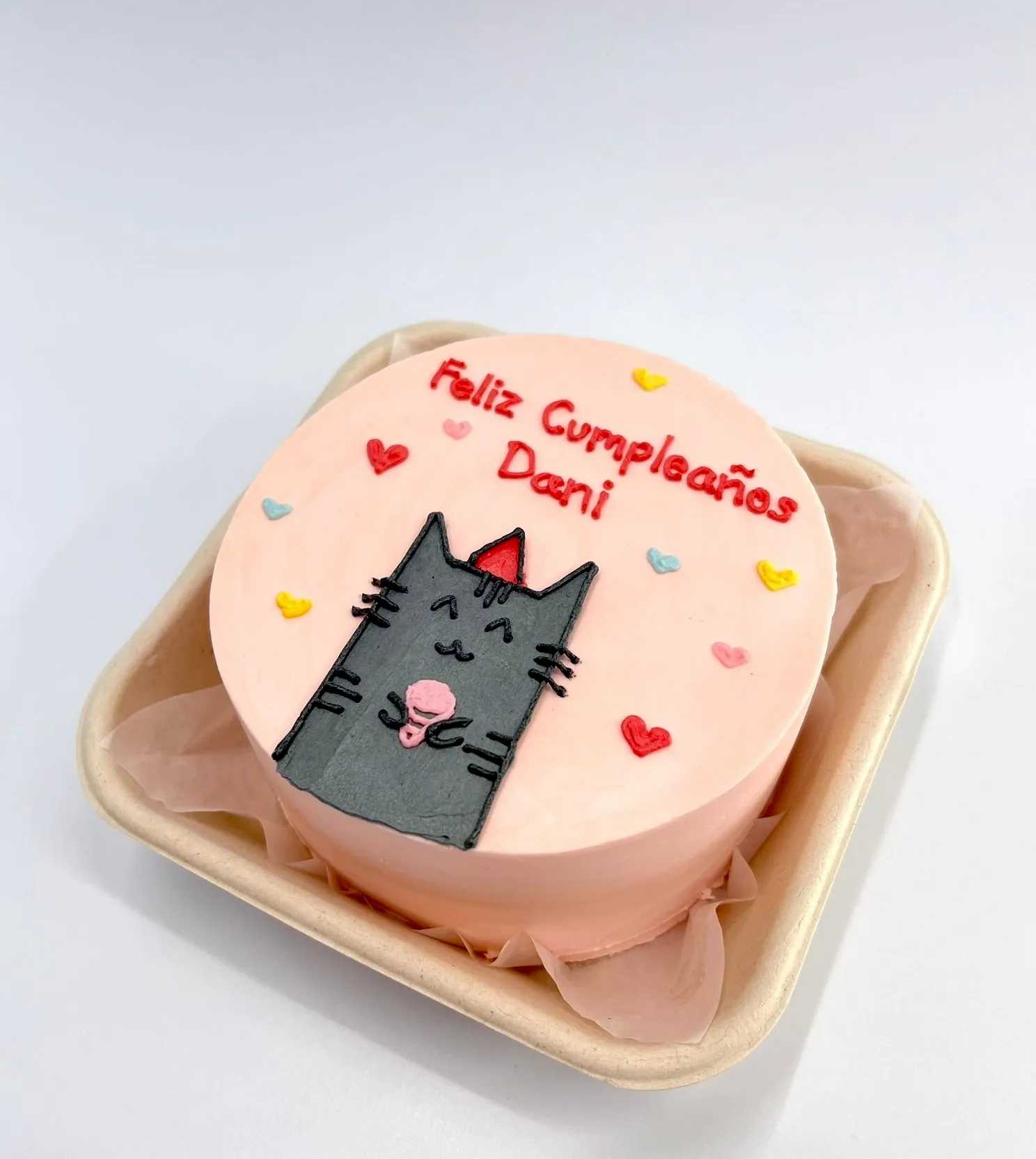 Pink bento cake with a drawn gray cat, colorful hearts and Feliz Cumpleaños Dani lettering in a kraft box